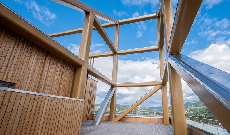 Sustainable Building Materials: The Future of Construction